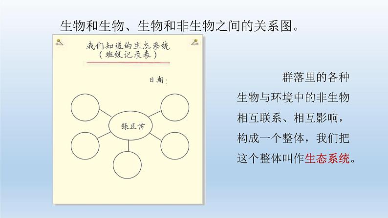 设计和制作生态瓶PPT课件免费下载05