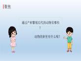 认识其他动物的卵PPT课件免费下载