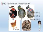 认识其他动物的卵PPT课件免费下载