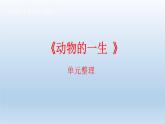小学科学教科版三年级下册第二单元《动物的一生》复习课件5（2022新版）