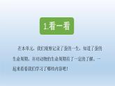 小学科学教科版三年级下册第二单元《动物的一生》复习课件5（2022新版）