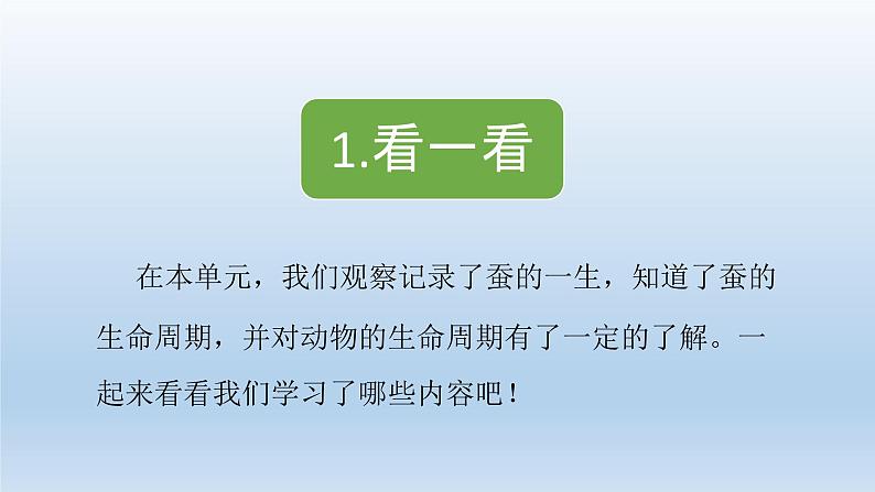 小学科学教科版三年级下册第二单元《动物的一生》复习课件5（2022新版）第3页