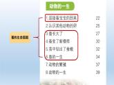 小学科学教科版三年级下册第二单元《动物的一生》复习课件5（2022新版）
