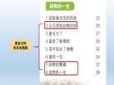 小学科学教科版三年级下册第二单元《动物的一生》复习课件5（2022新版）