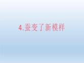 小学科学教科版三年级下册第二单元第4课《蚕变了新模样》课件5（2022新版）