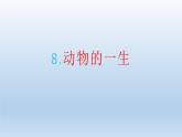 小学科学教科版三年级下册第二单元第8课《动物的一生》课件5（2022新版）