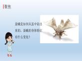 茧中钻出了蚕蛾PPT课件免费下载