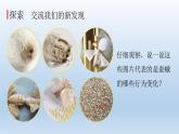 茧中钻出了蚕蛾PPT课件免费下载