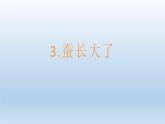 蚕长大了PPT课件免费下载