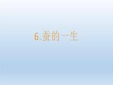 小学科学教科版三年级下册第二单元第6课《蚕的一生》课件5（2022新版）