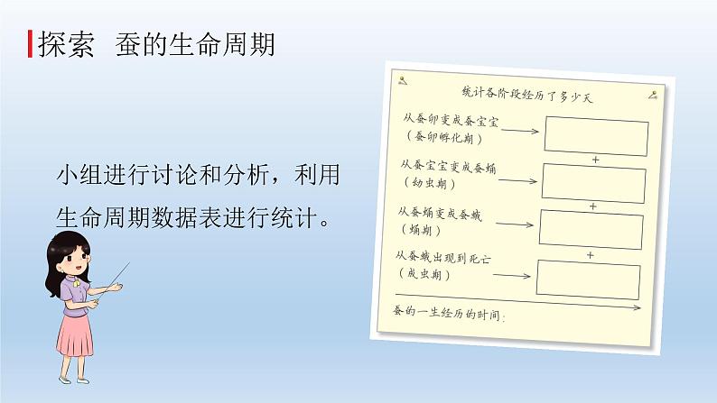 小学科学教科版三年级下册第二单元第6课《蚕的一生》课件5（2022新版）第6页