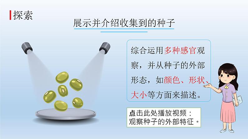 小学科学教科版四年级下册第一单元第1课《种子里孕育着新生命》课件5（2022新版）03