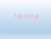 种子的传播PPT课件免费下载