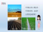 比较不同的土壤PPT课件免费下载