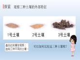 比较不同的土壤PPT课件免费下载