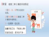 比较不同的土壤PPT课件免费下载