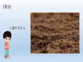 观察土壤PPT课件免费下载