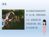 观察土壤PPT课件免费下载
