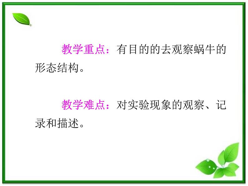 教科小学科学三上《2.2、蜗牛（一）》PPT课件第4页