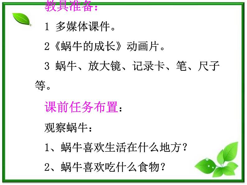 教科小学科学三上《2.2、蜗牛（一）》PPT课件第5页