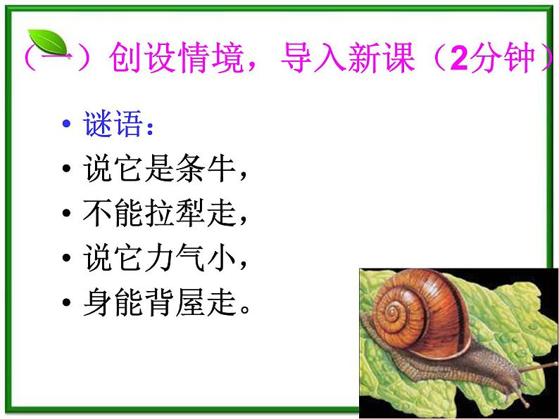 教科小学科学三上《2.2、蜗牛（一）》PPT课件第7页