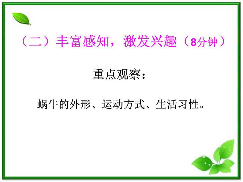 教科小学科学三上《2.2、蜗牛（一）》PPT课件第8页