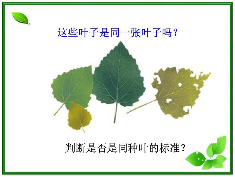 植物发生了什么变化PPT课件免费下载02