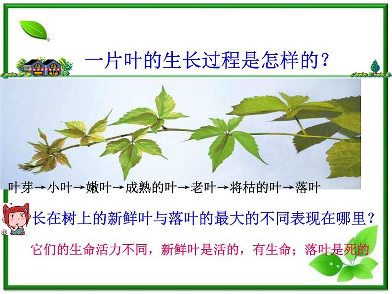 植物发生了什么变化PPT课件免费下载04