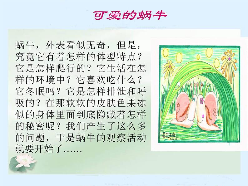 教科小学科学三上《2.2、蜗牛（一）》PPT课件02