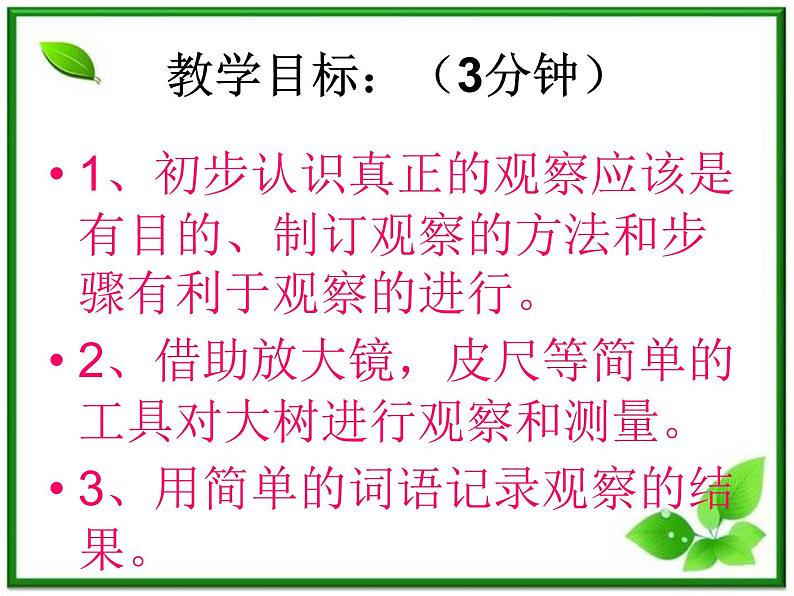 教科小学科学三上《1.1.我看到了什么》PPT课件01