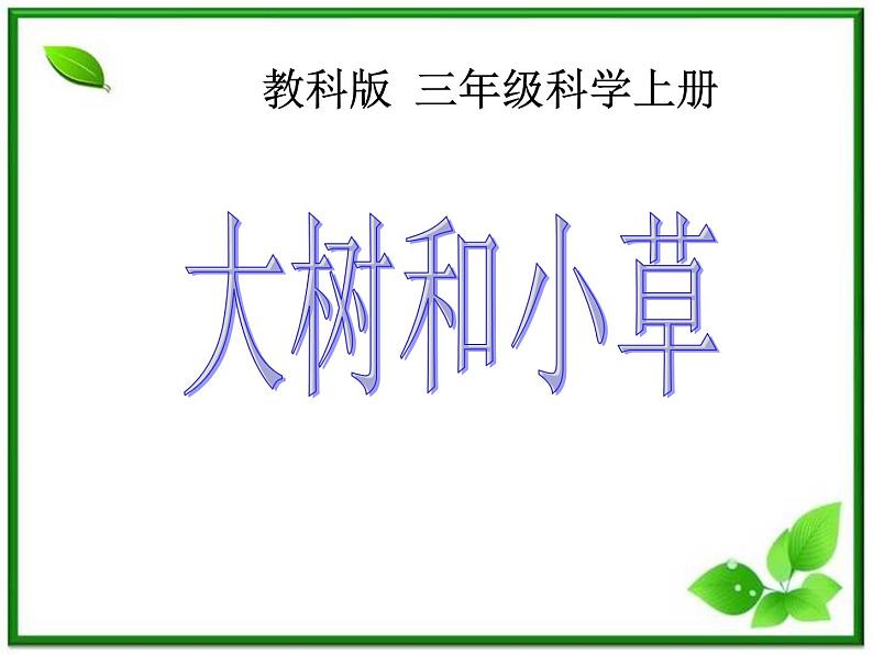 教科小学科学三上《1.3、大树和小草》PPT课件01