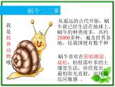 教科小学科学三上《2.3、蜗牛（二）》PPT课件