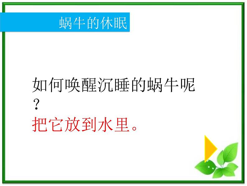 教科小学科学三上《2.3、蜗牛（二）》PPT课件06