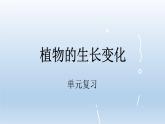 小学科学教科版四年级下册第一单元《植物的生长变化》复习课件（2022新版）