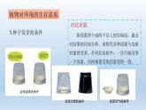 小学科学教科版五年级下册第一单元《生物与环境》复习课件