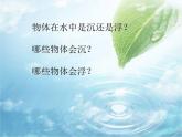 五年级下册科学课件 -1.1 物体在水中是沉还是浮 ｜教科版 (共12张PPT)