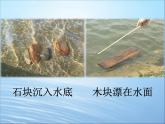 五年级下册科学课件 -1.1 物体在水中是沉还是浮 ｜教科版 (共36张PPT)