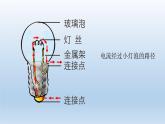 小学科学教科版四年级下册第二单元《电路》复习课件