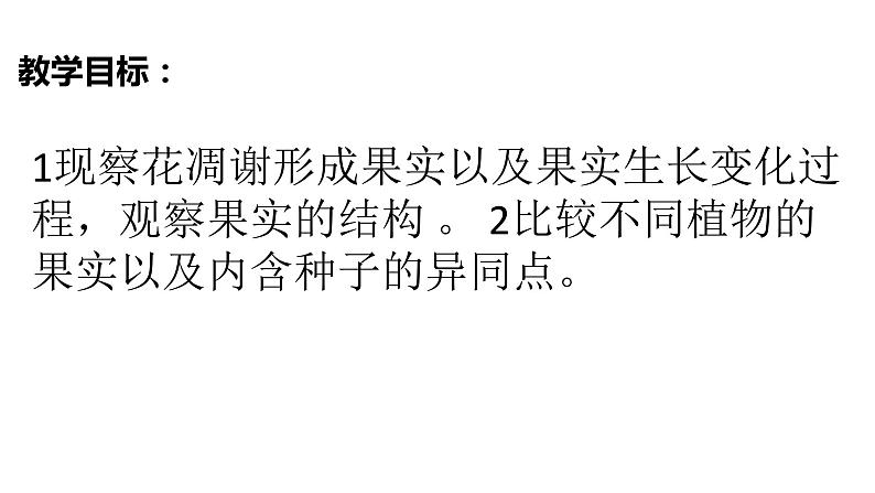 1.6果实和种子课件PPT03