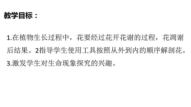 1.5凤仙花开花了课件PPT03