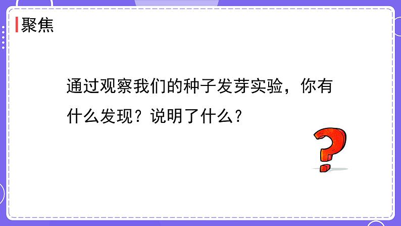 新教科版科学五下 1.2 比较种子发芽实验 课件PPT+视频素材02