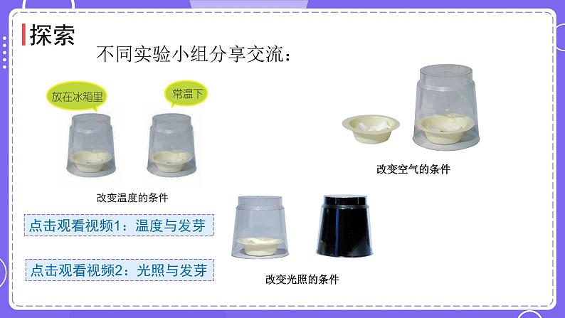 新教科版科学五下 1.2 比较种子发芽实验 课件PPT+视频素材05