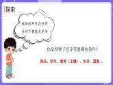 新教科版科學(xué)五下 1.1 種子發(fā)芽實(shí)驗(yàn) 課件PPT+視頻素材
