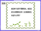 新教科版科学五下 1.3 绿豆苗的生长 课件PPT+视频素材