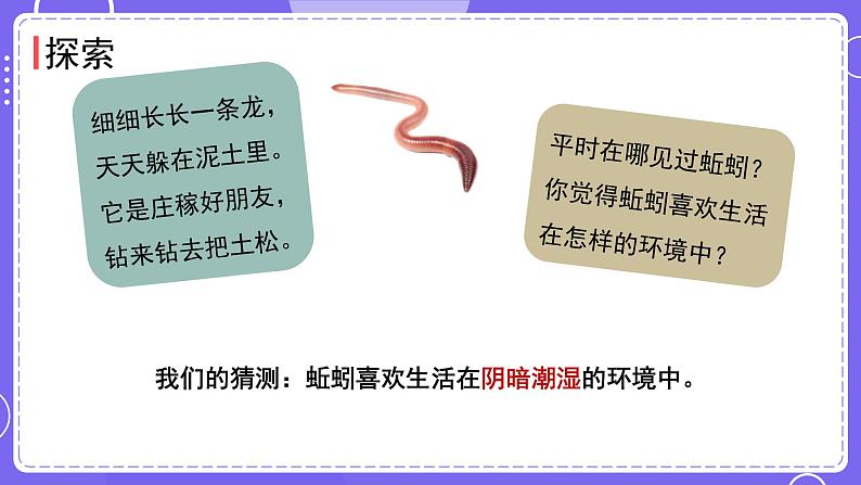 新教科版科学五下 1.4 蚯蚓的选择 课件PPT+视频素材03