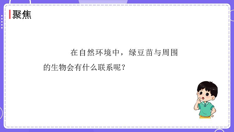 新教科版科学五下 第6课时  食物链和食物网 PPT课件第5页