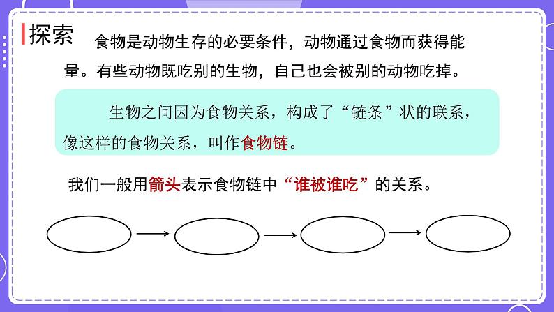 新教科版科学五下 第6课时  食物链和食物网 PPT课件第7页