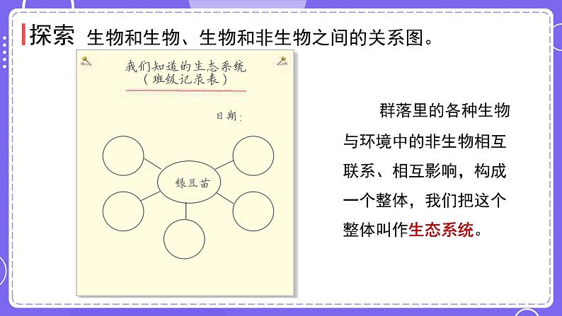 新教科版科学五下 1.7 设计和制作生态瓶 课件PPT+视频素材05