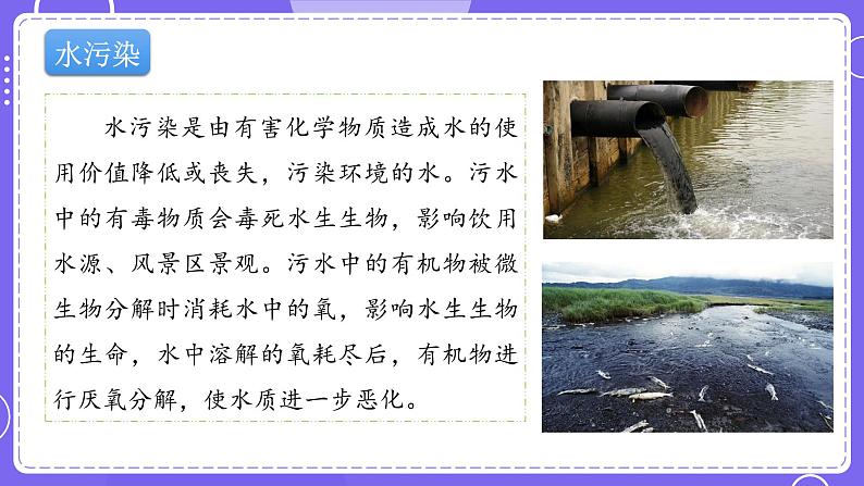 新教科版科学五下 3.2 我们面临的环境问题 课件PPT+视频素材07