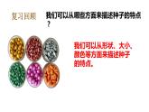 教科版（2017秋）五年級(jí)下冊科學(xué)1.1種子發(fā)芽實(shí)驗(yàn) PPT課件+素材
